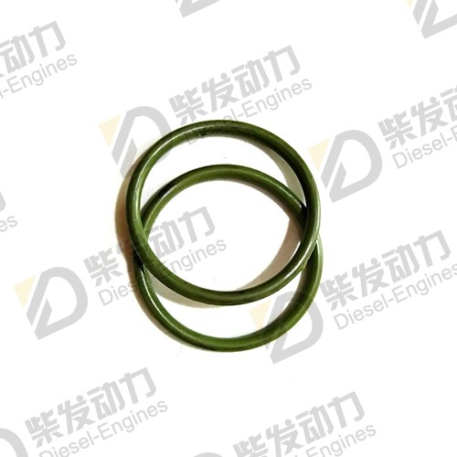 O-ring 01182790